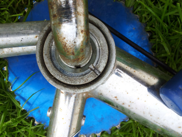 20120512_182155-w750-h750.jpg