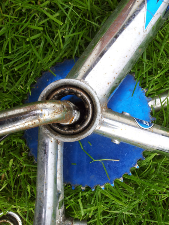 20120512_182322-w750-h750.jpg